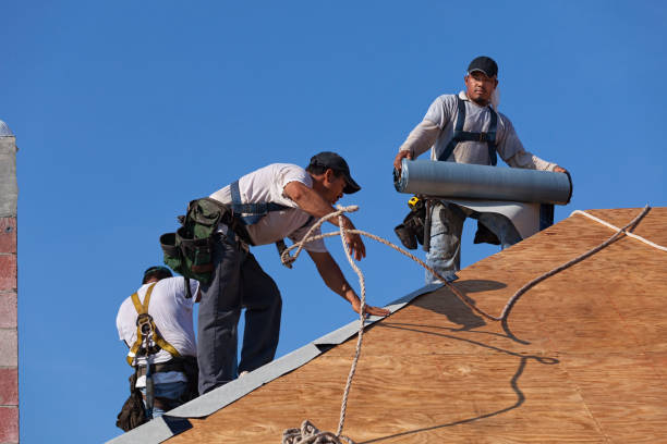 Professional Roofing Contractor in Denton, TX